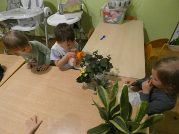 P1040647.JPG
