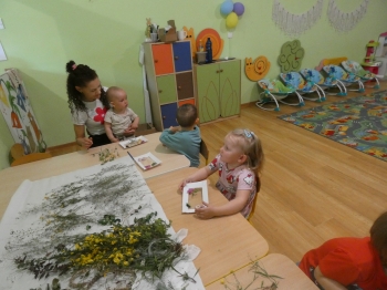 P1040882.JPG