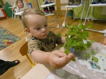 P1050177.JPG