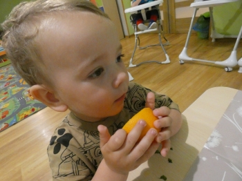 P1050190.JPG