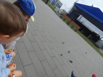 P1050232.JPG