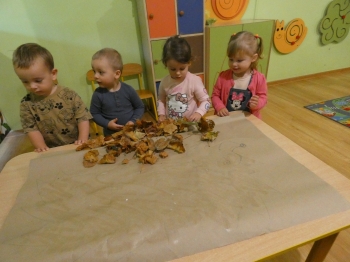 P1050518.JPG