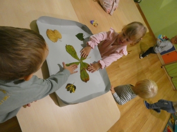 P1050567.JPG