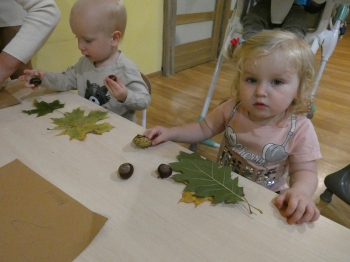 P1050593.JPG