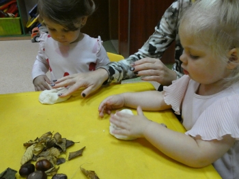 P1050630.JPG