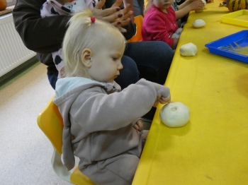 P1050639.JPG