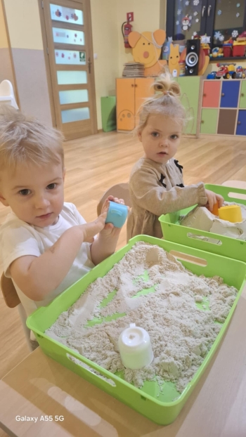 1bc3e8ed-2c0b-4f69-b5dc-168d1a6ac52a